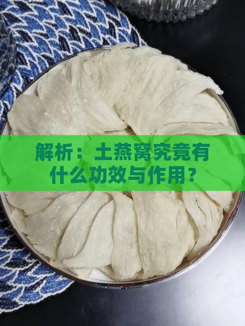解析：土燕窝究竟有什么功效与作用？