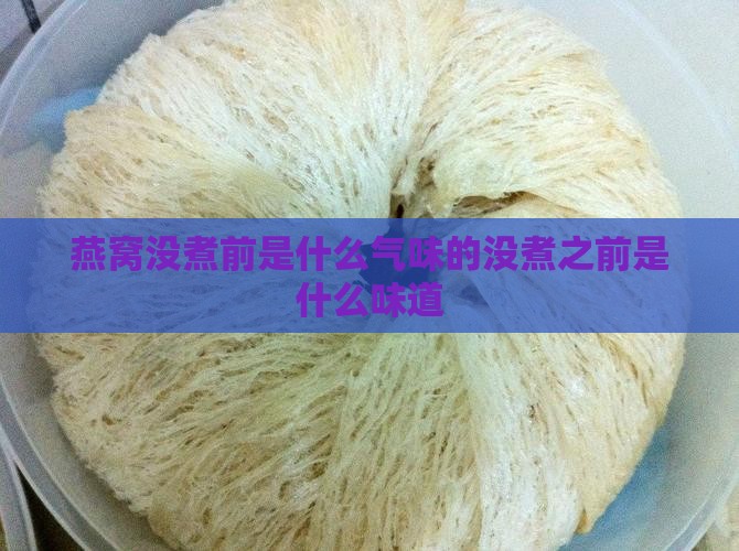 燕窝没煮前是什么气味的没煮之前是什么味道