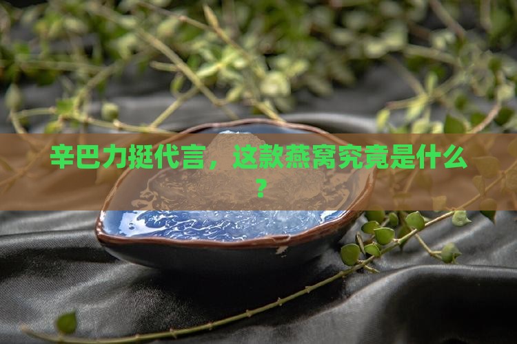 辛巴力挺代言，这款燕窝究竟是什么？