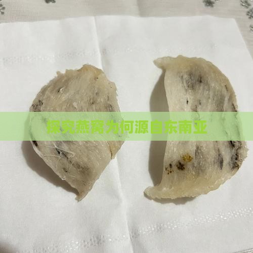 探究燕窝为何源自东南亚
