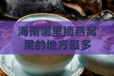 海南哪里摘燕窝果的地方最多