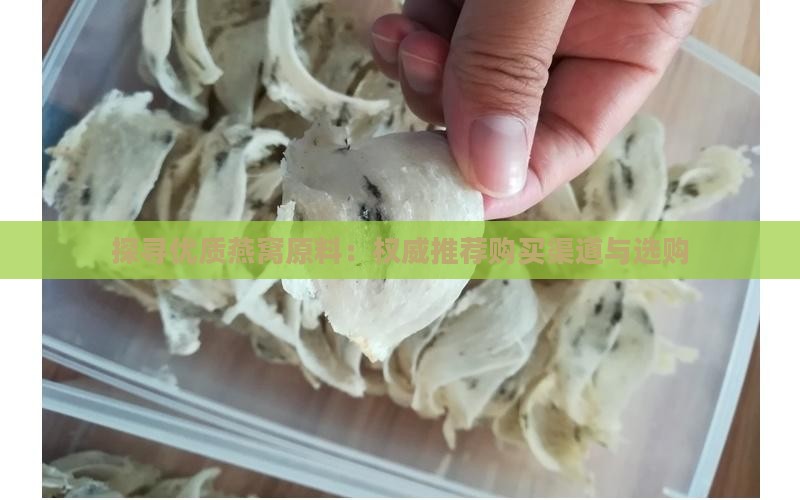 探寻优质燕窝原料：权威推荐购买渠道与选购