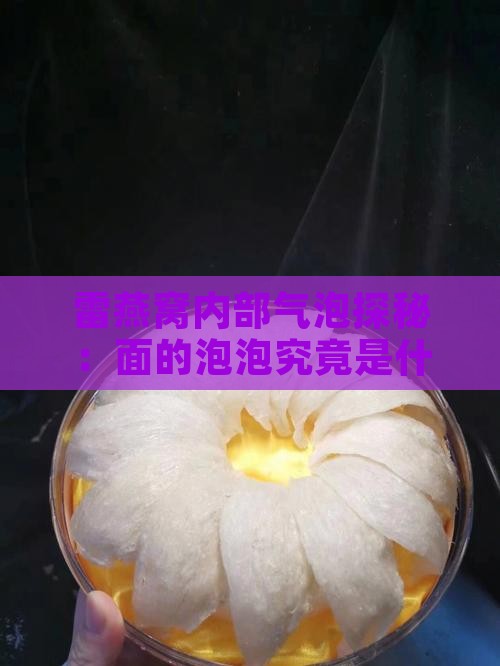 雷燕窝内部气泡探秘：面的泡泡究竟是什么？