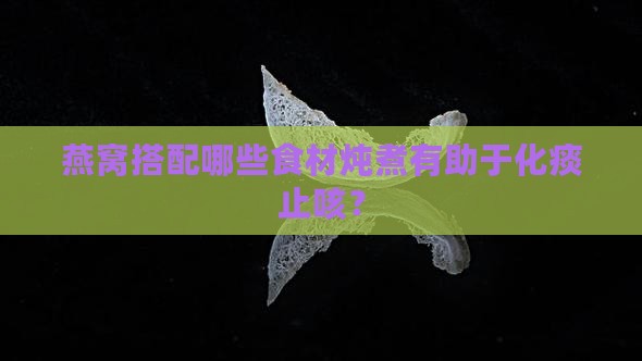 燕窝搭配哪些食材炖煮有助于化痰止咳？