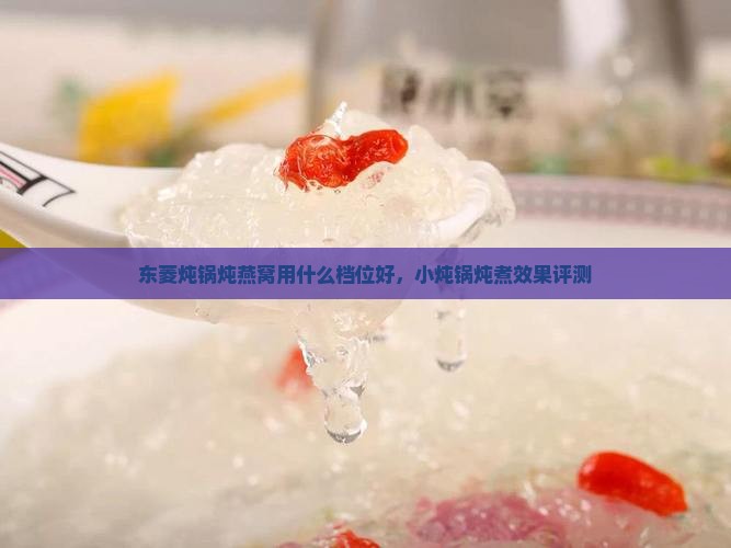 东菱炖锅炖燕窝用什么档位好，小炖锅炖煮效果评测