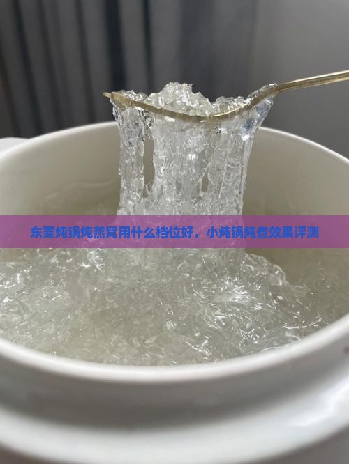东菱炖锅炖燕窝用什么档位好，小炖锅炖煮效果评测