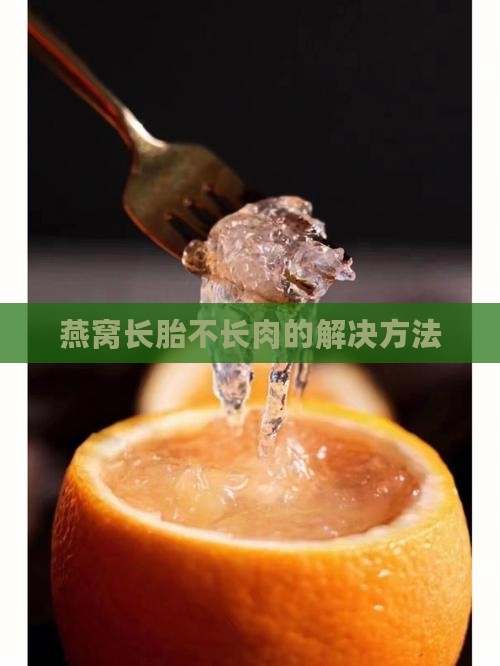 燕窝长胎不长肉的解决方法