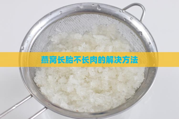 燕窝长胎不长肉的解决方法