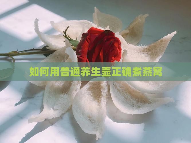 如何用普通养生壶正确煮燕窝