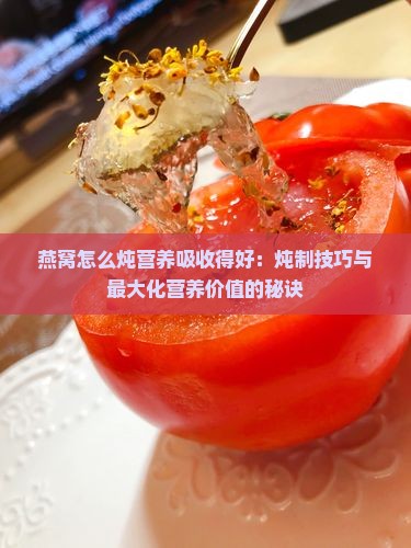 燕窝怎么炖营养吸收得好：炖制技巧与最大化营养价值的秘诀