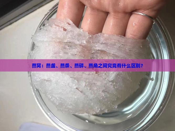 燕窝：燕盏、燕条、燕碎、燕角之间究竟有什么区别？