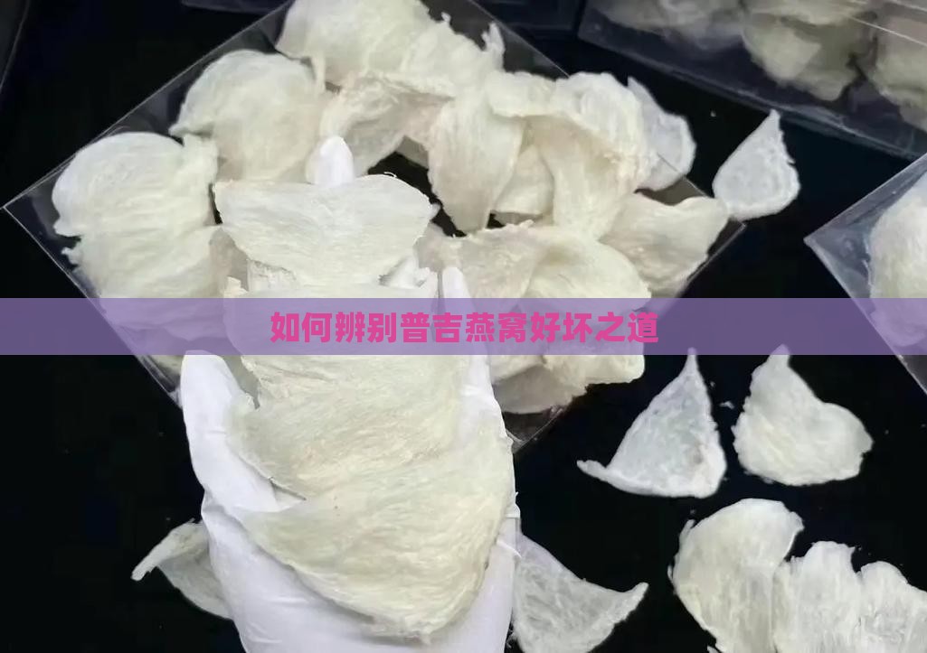 如何辨别普吉燕窝好坏之道