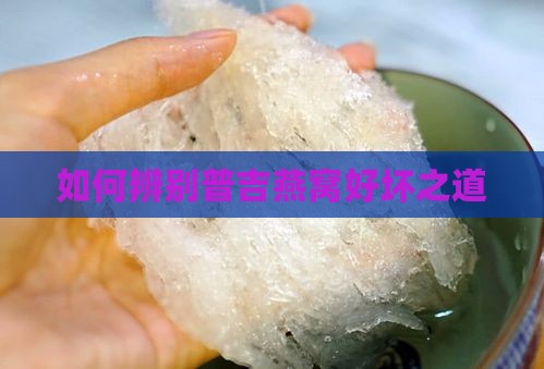 如何辨别普吉燕窝好坏之道