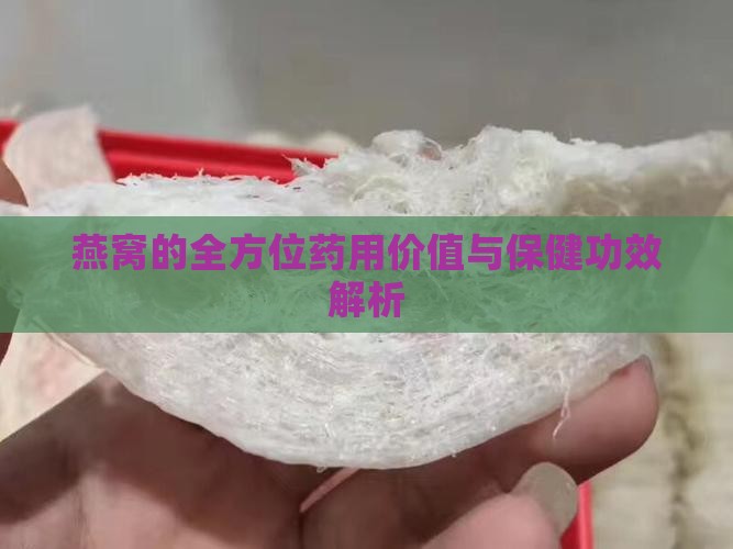燕窝的全方位药用价值与保健功效解析