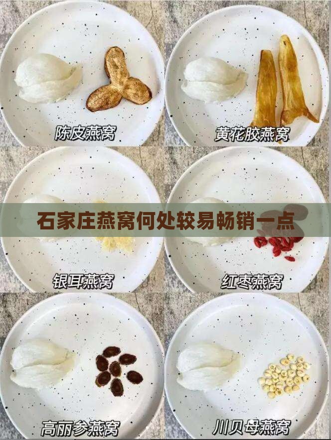 石家庄燕窝何处较易畅销一点