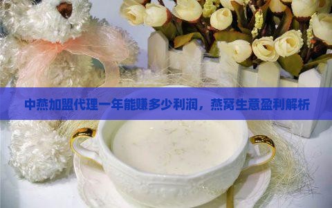 中燕加盟代理一年能赚多少利润，燕窝生意盈利解析