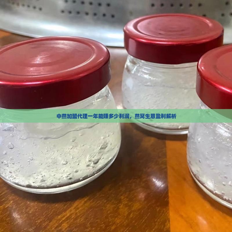 中燕加盟代理一年能赚多少利润，燕窝生意盈利解析