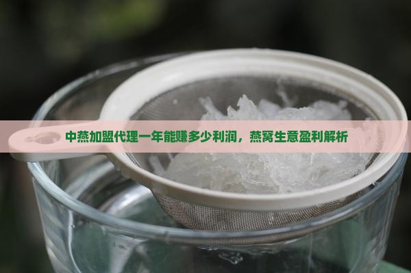 中燕加盟代理一年能赚多少利润，燕窝生意盈利解析