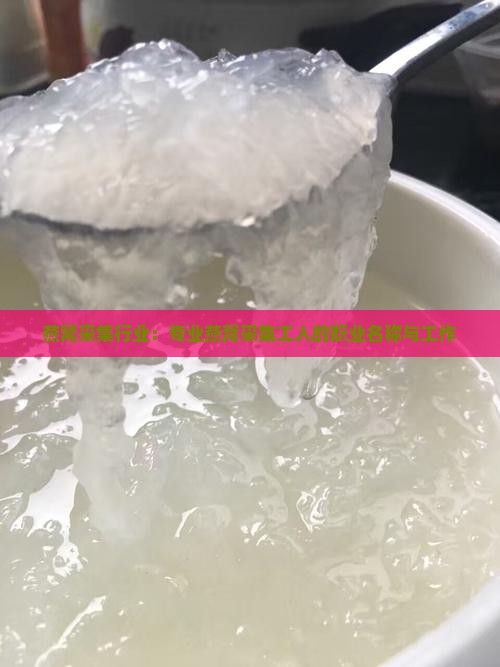 燕窝采集行业：专业燕窝采集工人的职业名称与工作
