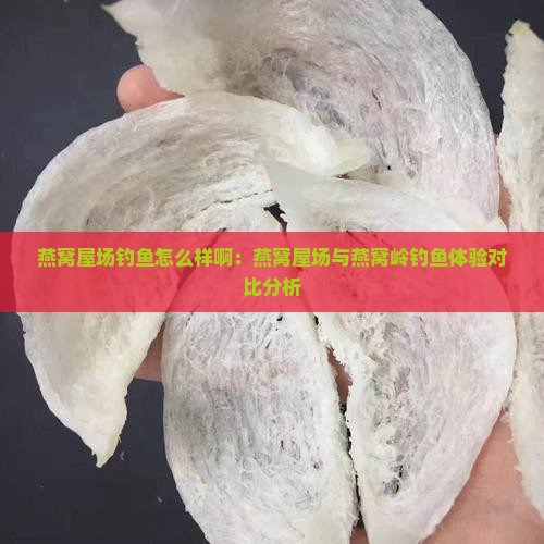 燕窝屋场钓鱼怎么样啊：燕窝屋场与燕窝岭钓鱼体验对比分析