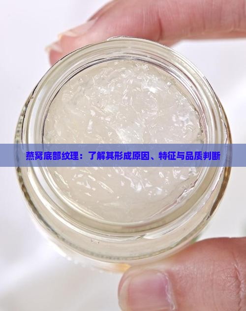 燕窝底部纹理：了解其形成原因、特征与品质判断