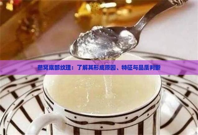 燕窝底部纹理：了解其形成原因、特征与品质判断