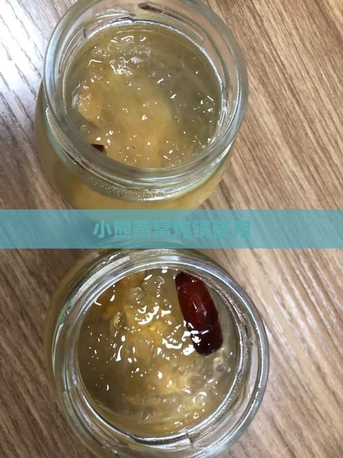 小熊燕窝炖锅使用