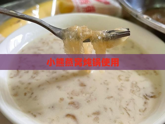 小熊燕窝炖锅使用