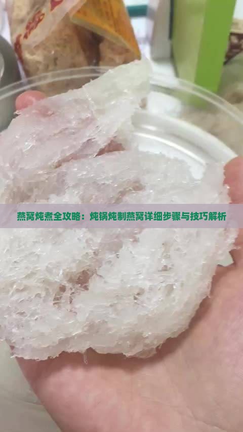 燕窝炖煮全攻略：炖锅炖制燕窝详细步骤与技巧解析