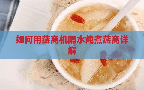 如何用燕窝机隔水炖煮燕窝详解