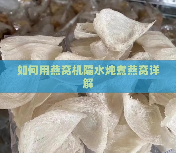 如何用燕窝机隔水炖煮燕窝详解