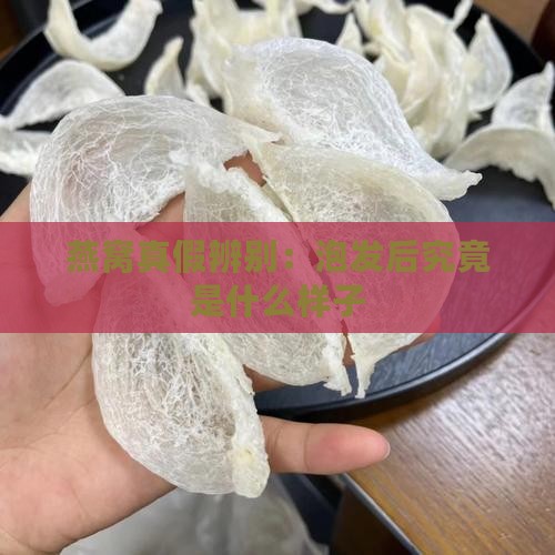 燕窝真假辨别：泡发后究竟是什么样子