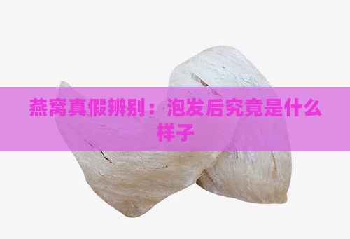 燕窝真假辨别：泡发后究竟是什么样子