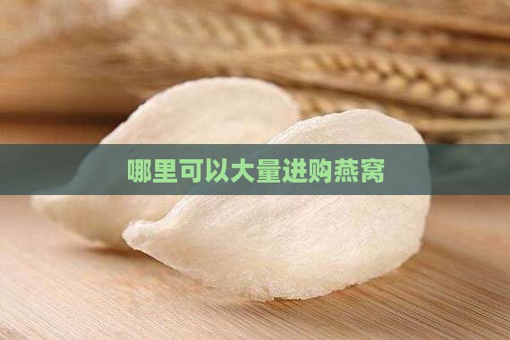 哪里可以大量进购燕窝