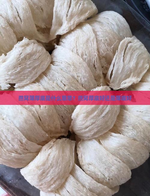 燕窝薄厚底是什么意思？燕窝厚底好还是薄底好