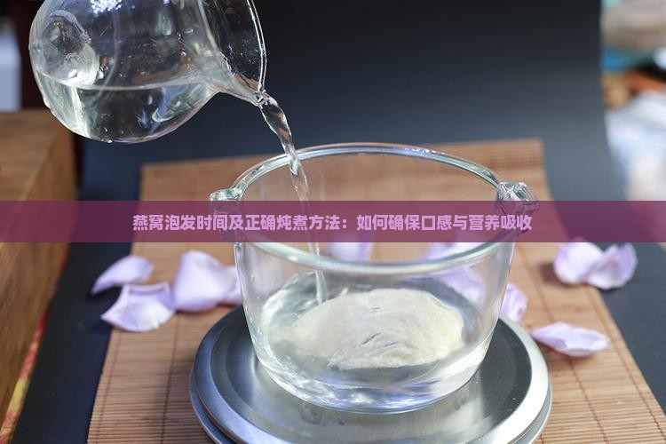 燕窝泡发时间及正确炖煮方法：如何确保口感与营养吸收