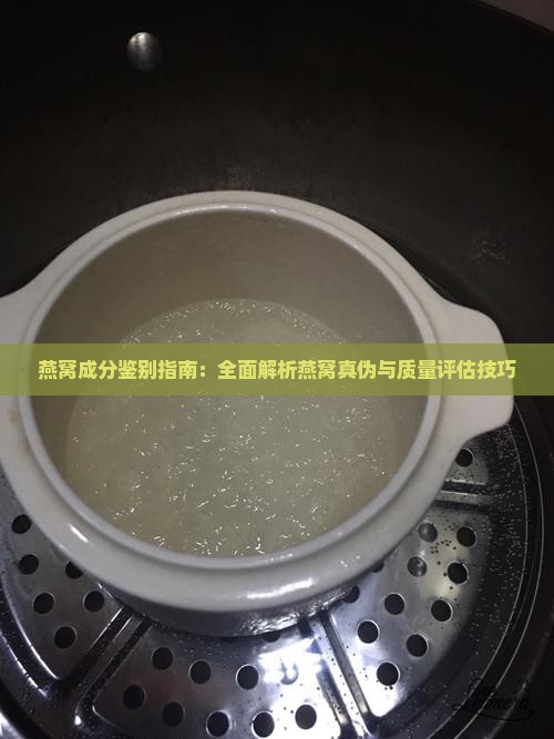燕窝成分鉴别指南：全面解析燕窝真伪与质量评估技巧