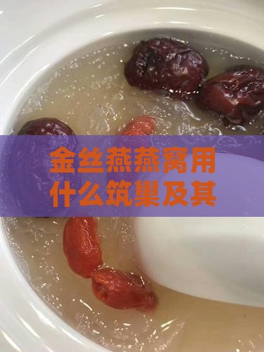 金丝燕燕窝用什么筑巢及其相机推荐