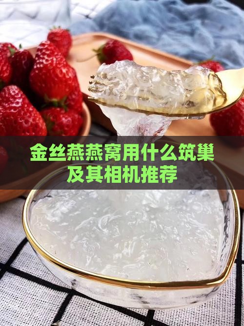 金丝燕燕窝用什么筑巢及其相机推荐