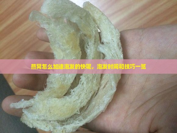 燕窝怎么加速泡发的快呢，泡发时间和技巧一览