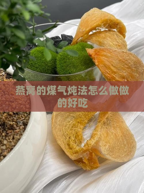 燕窝的煤气炖法怎么做做的好吃