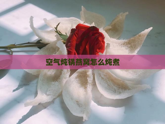 空气炖锅燕窝怎么炖煮