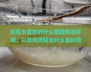 燕窝水里放的什么菌菇炖汤好喝，以及炖燕窝加什么食材和用什么水炖
