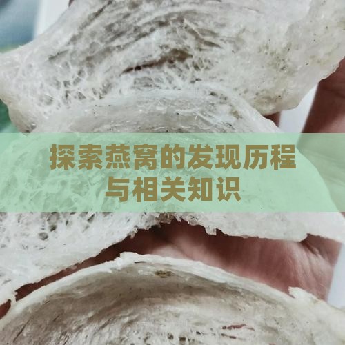 探索燕窝的发现历程与相关知识