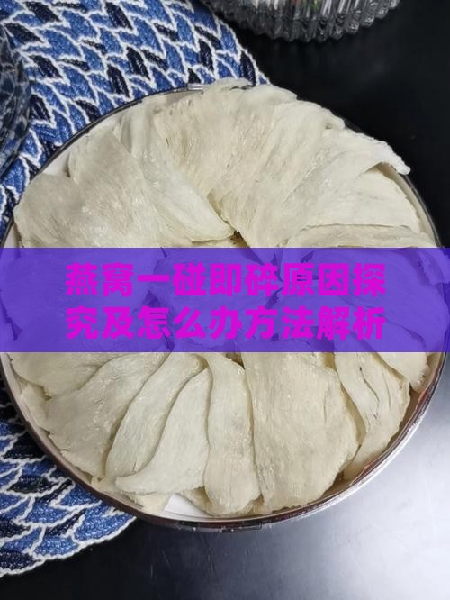 燕窝一碰即碎原因探究及怎么办方法解析