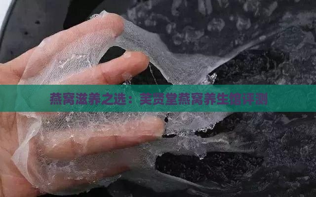 燕窝滋养之选：芙贤堂燕窝养生馆评测