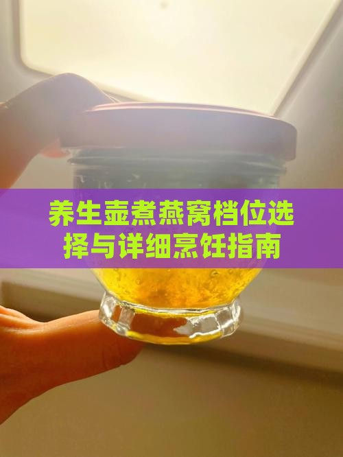 养生壶煮燕窝档位选择与详细烹饪指南