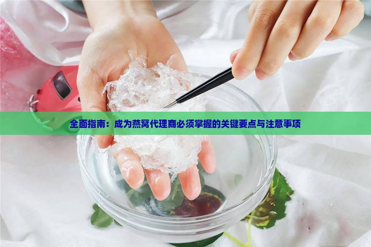 全面指南：成为燕窝代理商必须掌握的关键要点与注意事项