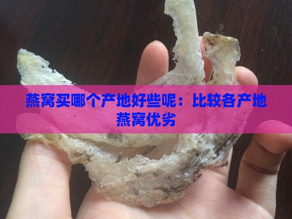 燕窝买哪个产地好些呢：比较各产地燕窝优劣