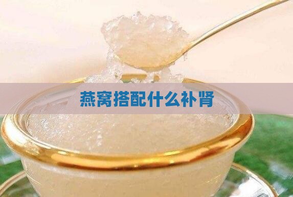 燕窝搭配什么补肾